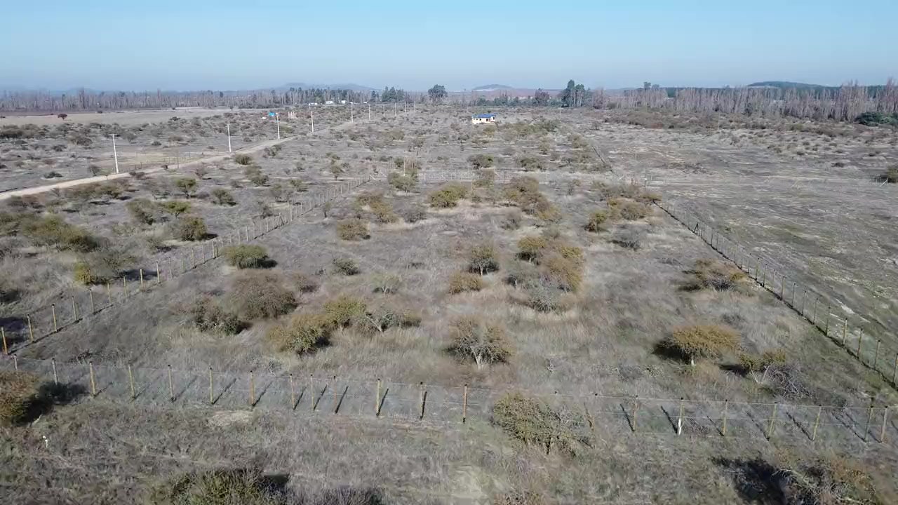 Vista aérea de las parcelas en la Región del Maule