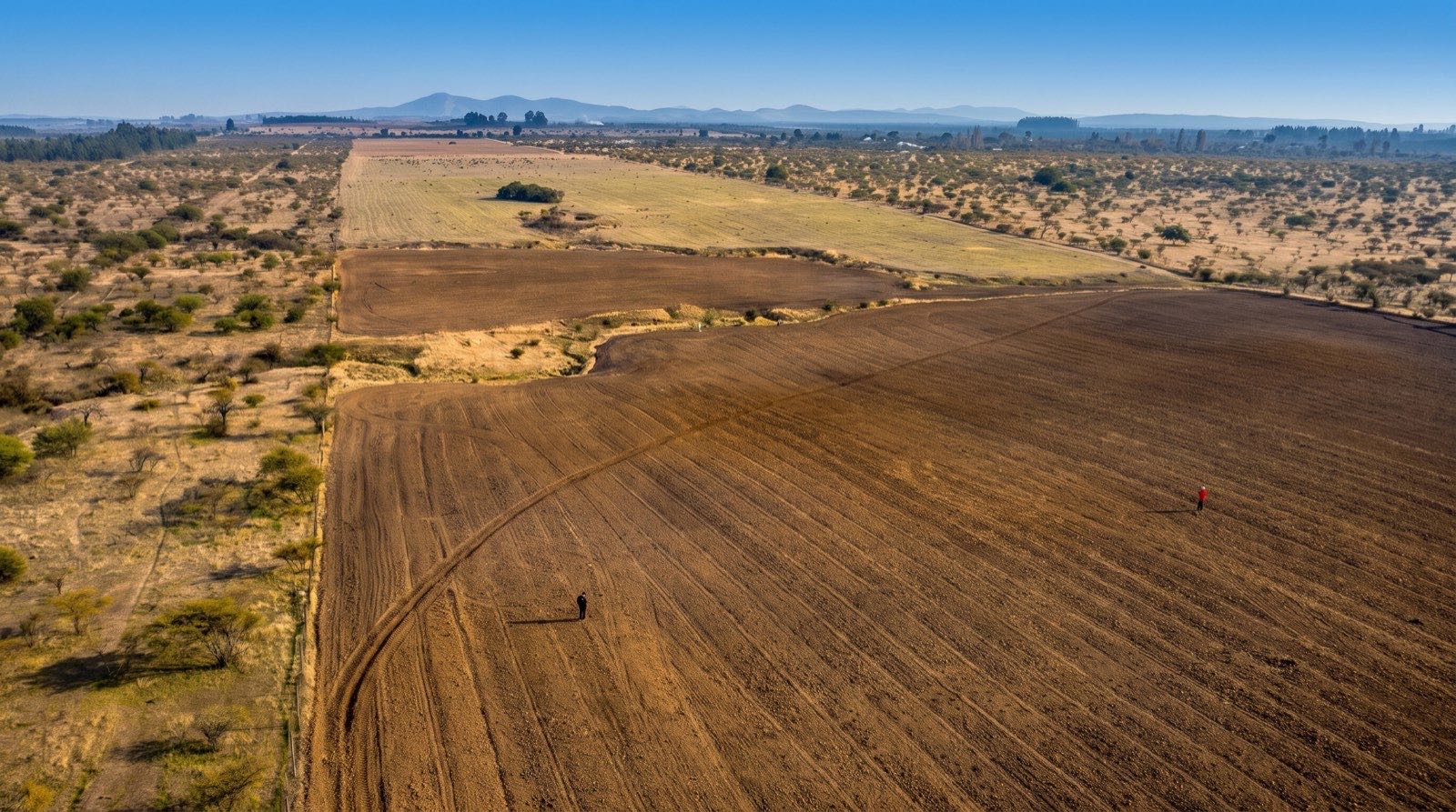 Imagen referencial del sector de Aguas Claras, Cauquenes (no corresponde a la parcela real)
