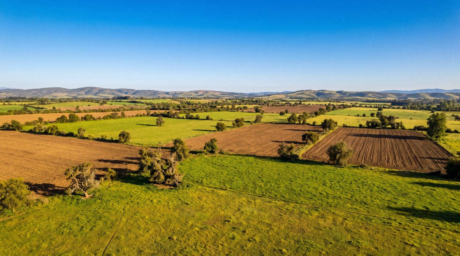 Imagen referencial del sector de Las Palmeras, Cauquenes (no corresponde a la parcela real)