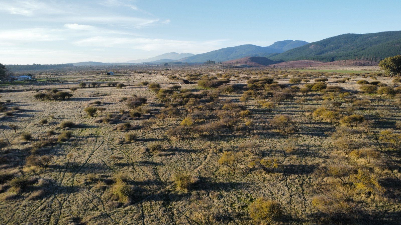 Vista aérea de Los Queltehues, San Javier